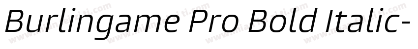 Burlingame Pro Bold Italic字体转换